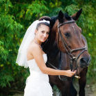 Невеста с лошадьми